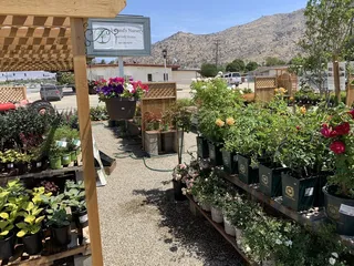 Ireland's Nursery and Gift Shoppe