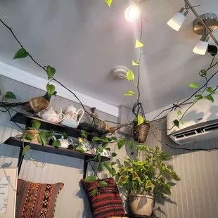 Ambiance photo #2. The theme is Spring, so there&apos;s a lot of &quot;real&quot; plants, which is a Huge plus as I don&apos;t like fake plant decor.