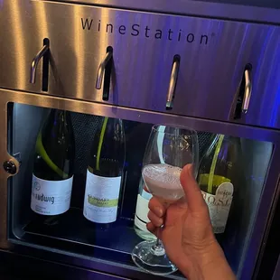 a person holding a glass of wine