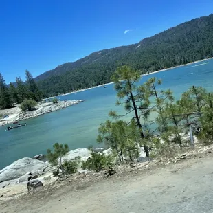 The water is so clear!
