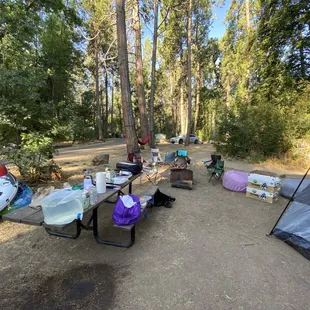 8.1.20- campsite #61. All campsites at Spring Cove need a canopy for shade. Partial shade only. Way too hot without the canopy!