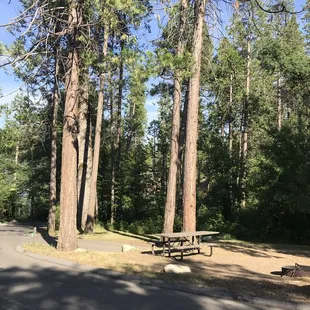 Spring Cove Campground site 001
