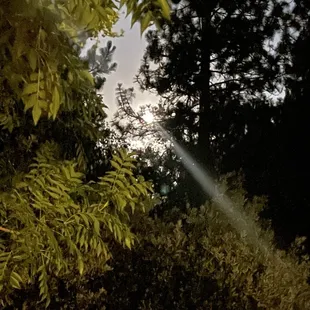 July's Full Buck Moon 2021.07.23