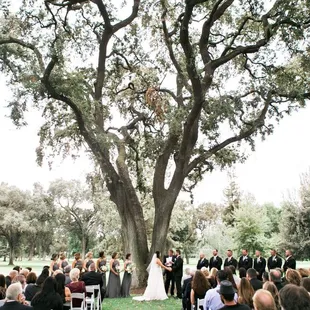 My dream wedding at Spring Creek!