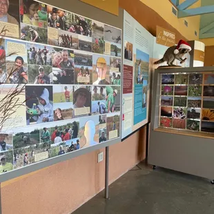 Inside visitor center