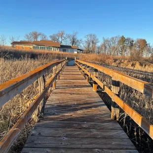 Bridge over a marshy area
