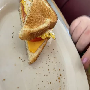 Toast, cheese, tomato, egg