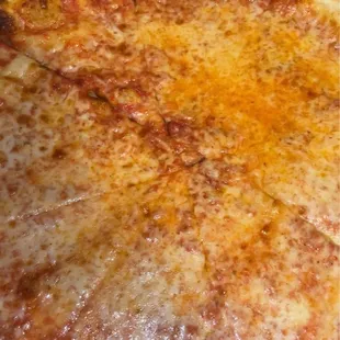 Large Plain Tomato Sauce and Cheese Pizza