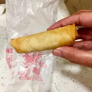 Perfectly cooked Vegetable Spring Roll @ Spring Garden