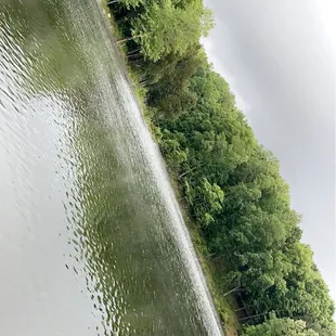 Pond behind the dinning room
