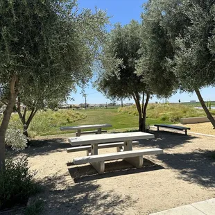 2 picnic tables with some tree shade