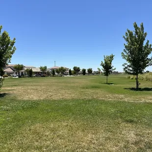 Grass area