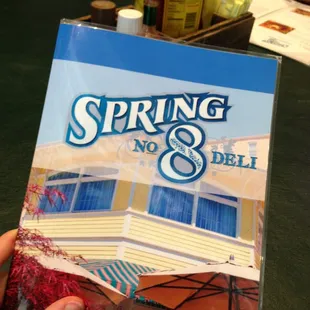 a hand holding a menu