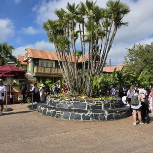 2025-2-7 Line. This took me about 10 minutes.