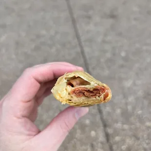 Pepperoni spring roll