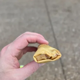Pepperoni Spring Roll