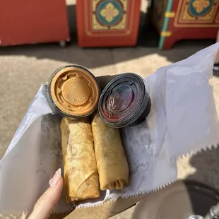 Pizza Spring Roll
