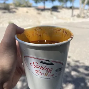 Spring Rollin'. Pho broth.  Spicy lemon grass (beef).