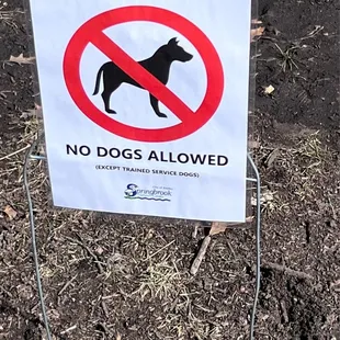 NO DOGS ALLOWED (except trained service animals)