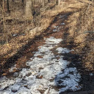 Snow, I've, mud on the path... That's how it goes in early spring!