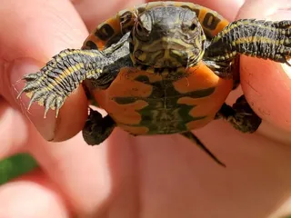 Fort Snelling State Park