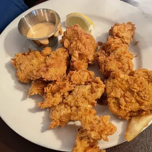 Deep Fried Alligator