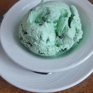 mint chocolate chip ice cream