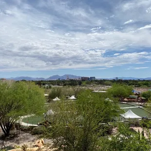 Beautiful view from the outdoor patio of the cafe.