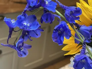 Platte Floral