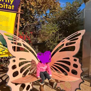 Sad we didn't see any butterflies but still a beautiful walk.