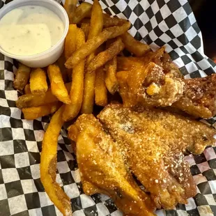 One Person (garlic Parmesan traditional wings with fries)