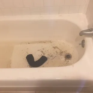 Downstairs room with sewage coming up from tub and toilet