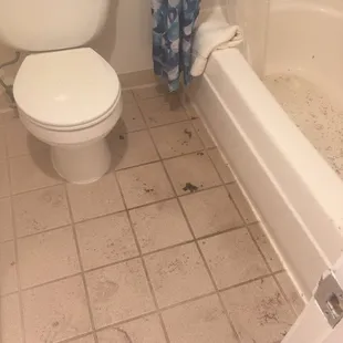 Human waste of floors in bath over flowing onto room carpet