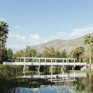 Another gorgeous ceremony site