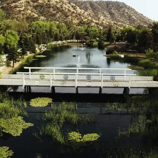 Pond, bridge and the fountains