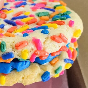 Sprinkle cookie sandwich