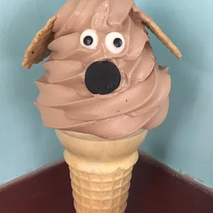 Doggie Cone