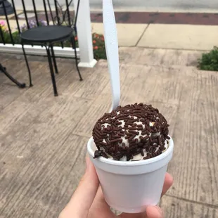 Kids size scoop, background for reference. $2.75 just enough for a little taste