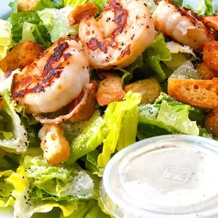 Caesar salad with grilled shrimp