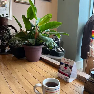 interior, sushi and sashimi