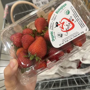 Small organic strawberries!