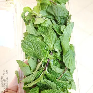 Fresh - Organic Mint $1.99