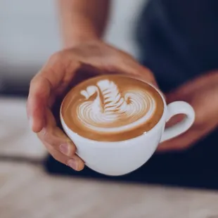 Lattes, cappuccinos , pour overs, drip coffee, affogatos.