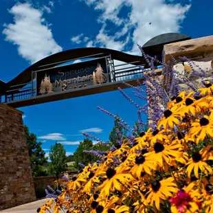 Front Gates  at Spruce Mountain Ranch