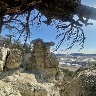 View from the top