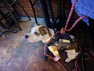 B Squared Bar & Grill