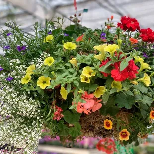 a hanging basket of flowers