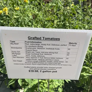 Tomato info