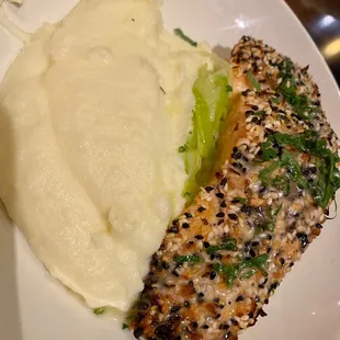 Salmon