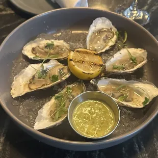 Oysters